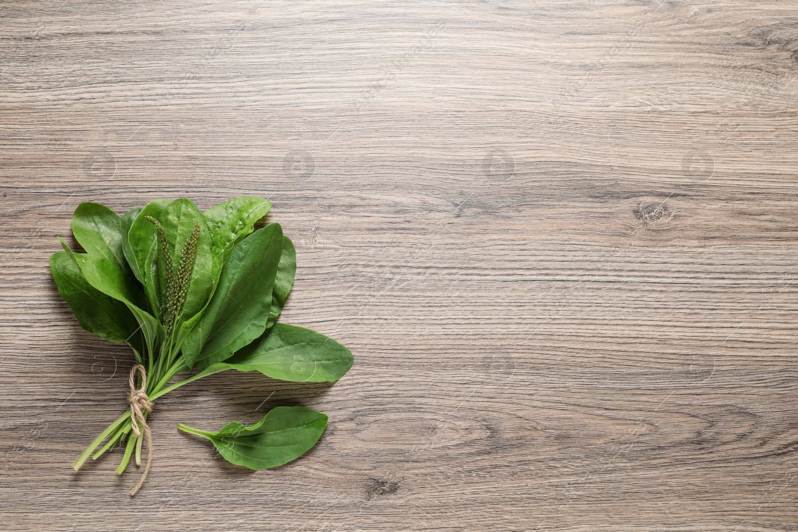 Photo of Green broadleaf plantain leaves on wooden table, top view. Space for text