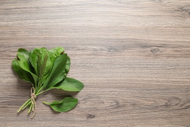 Green broadleaf plantain leaves on wooden table, top view. Space for text