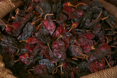 Photo of Heap of Ancho chile peppers in sack, closeup