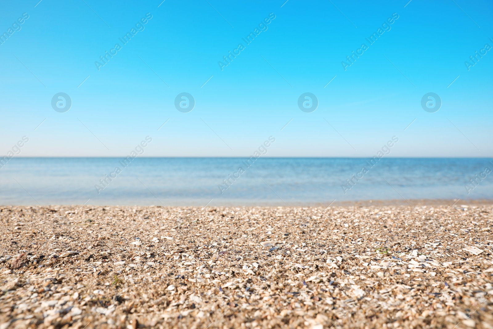 Photo of Beautiful view of sandy beach and sea on sunny summer day