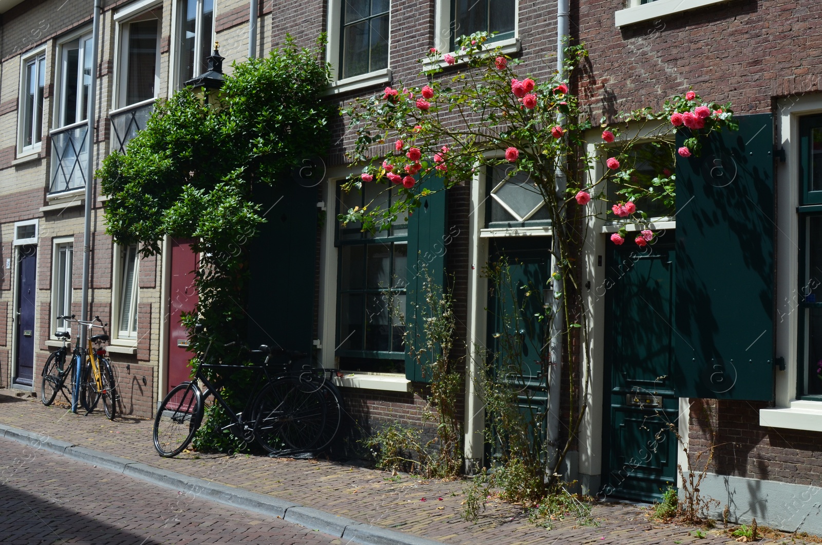 Photo of City street with beautiful buildings, bicycles and blooming plants