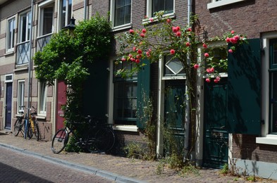 City street with beautiful buildings, bicycles and blooming plants