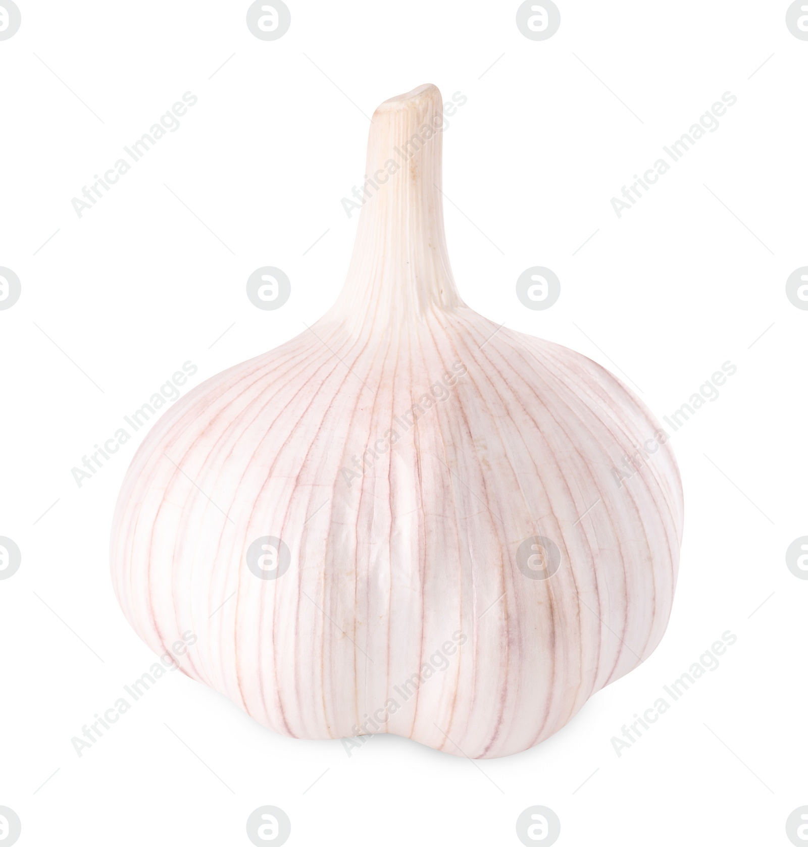 Photo of Head of fresh garlic isolated on white