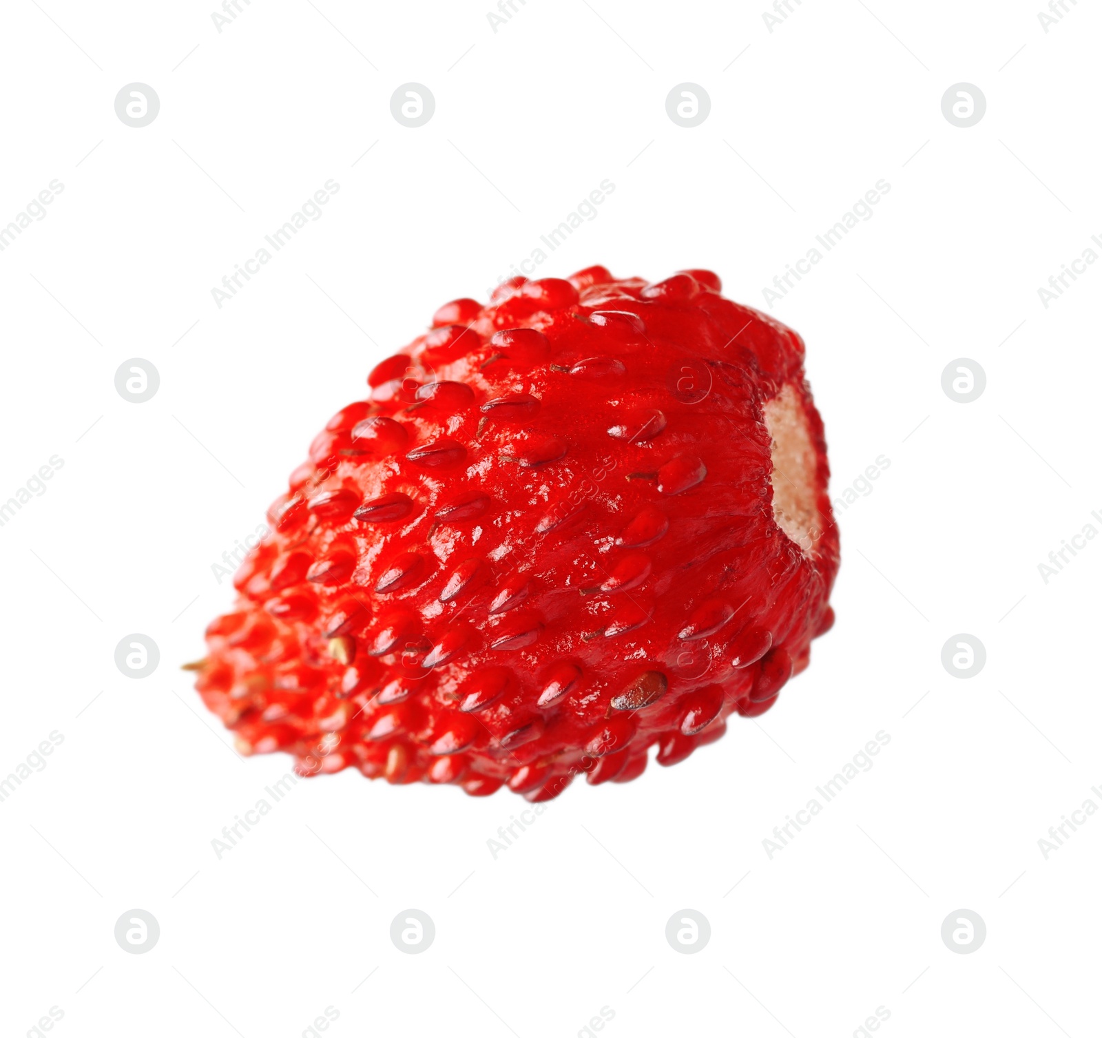 Photo of One ripe wild strawberry isolated on white