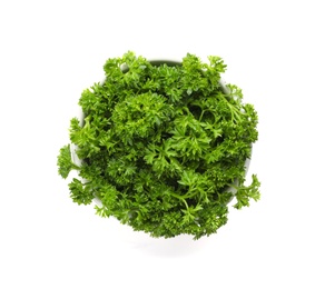 Bowl with fresh green parsley on white background, top view