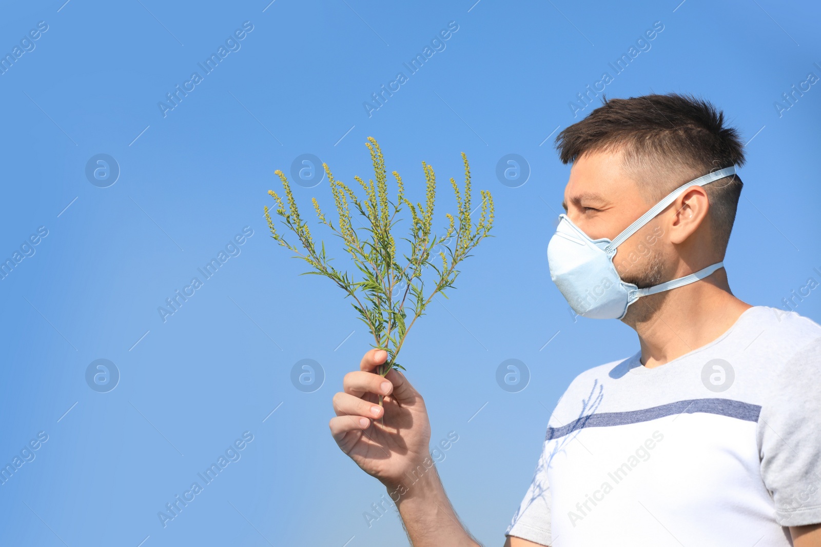 Photo of Man with ragweed branch suffering from allergy outdoors on sunny day
