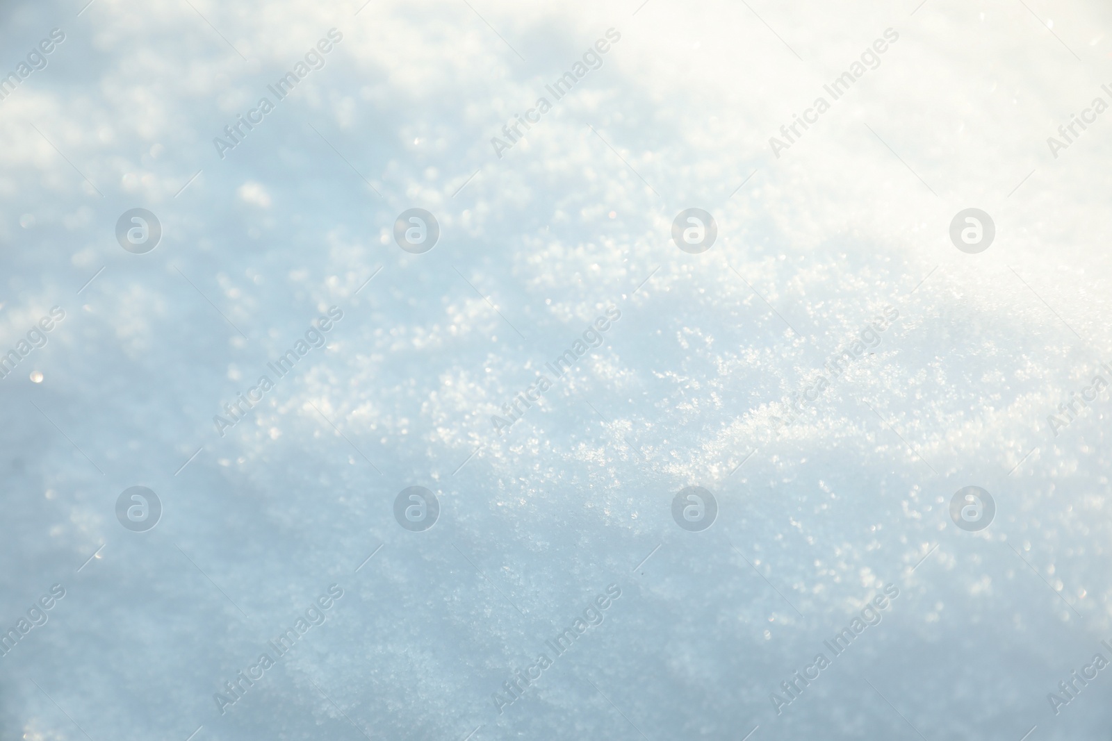 Photo of Beautiful snow on sunny day in winter