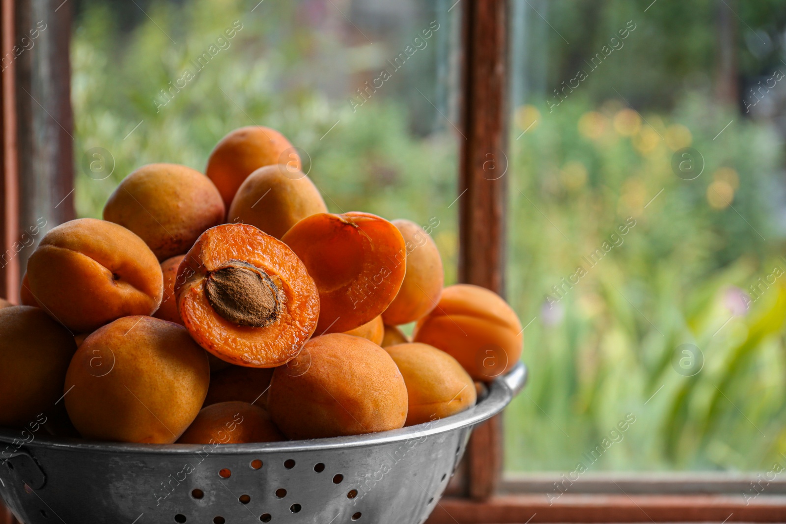 Photo of Colander with delicious ripe apricots near window. Space for text
