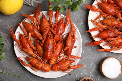 Photo of Flat lay composition with delicious boiled crayfishes on grey table