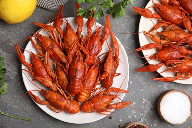 Flat lay composition with delicious boiled crayfishes on grey table