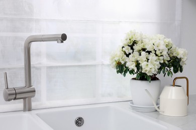 Photo of Pot with beautiful azalea flowers and watering can on white countertop in kitchen