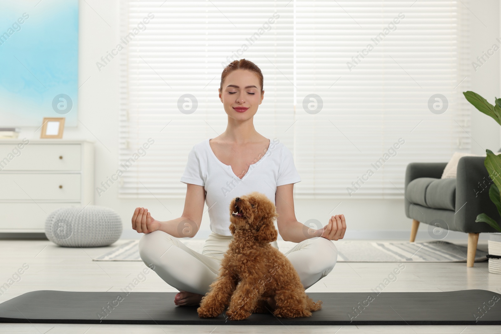 Photo of Young woman practicing yoga on mat with her cute dog at home