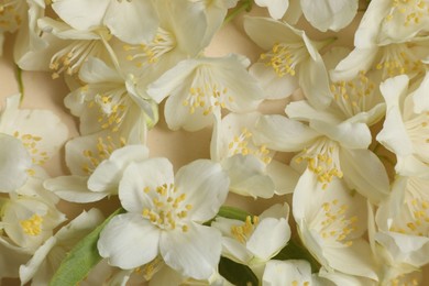 Many aromatic jasmine flowers on beige background, flat lay