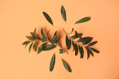 Photo of Olive twigs with fresh green leaves on pale orange background, flat lay