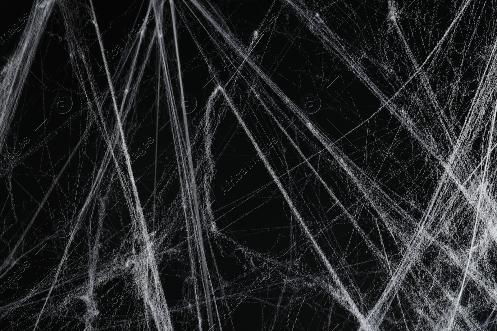 Photo of Creepy white spider web on black background