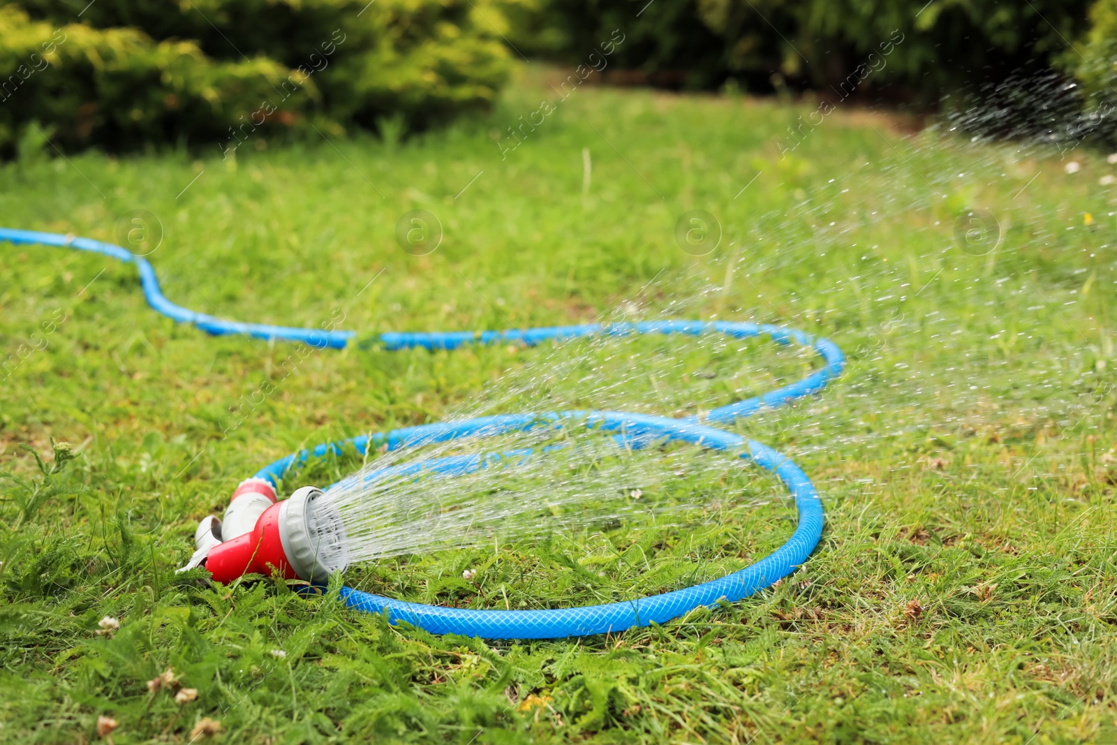 Photo of Water spraying from hose on green grass outdoors