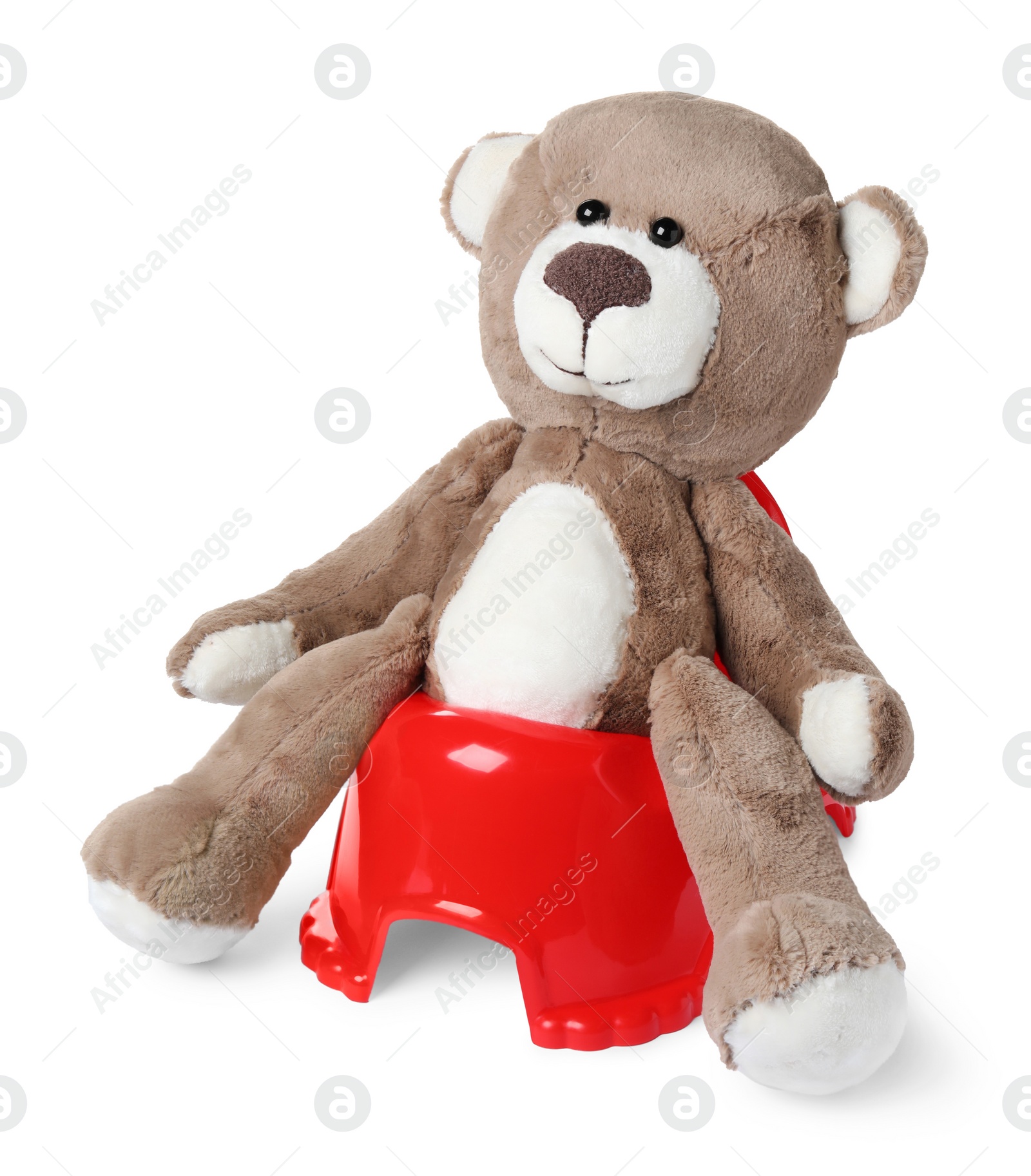 Photo of Teddy bear on red baby potty, white background. Toilet training