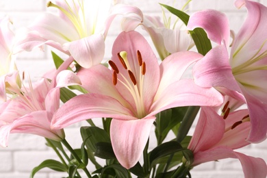 Photo of Beautiful blooming lily flowers, closeup view