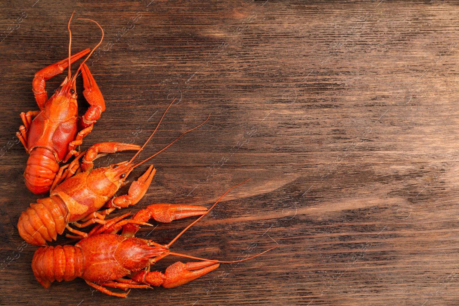 Photo of Delicious boiled crayfishes on wooden table, flat lay. Space for text