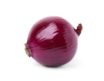 One fresh red onion on white background