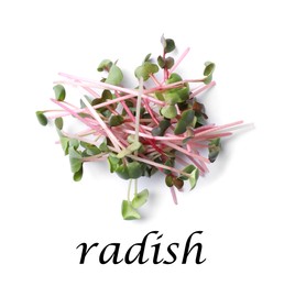 Pile of fresh microgreen isolated on white, top view