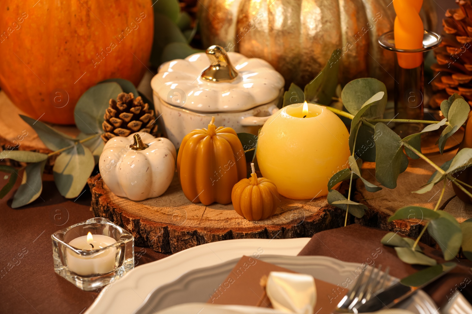 Photo of Beautiful autumn place setting and decor on table, closeup