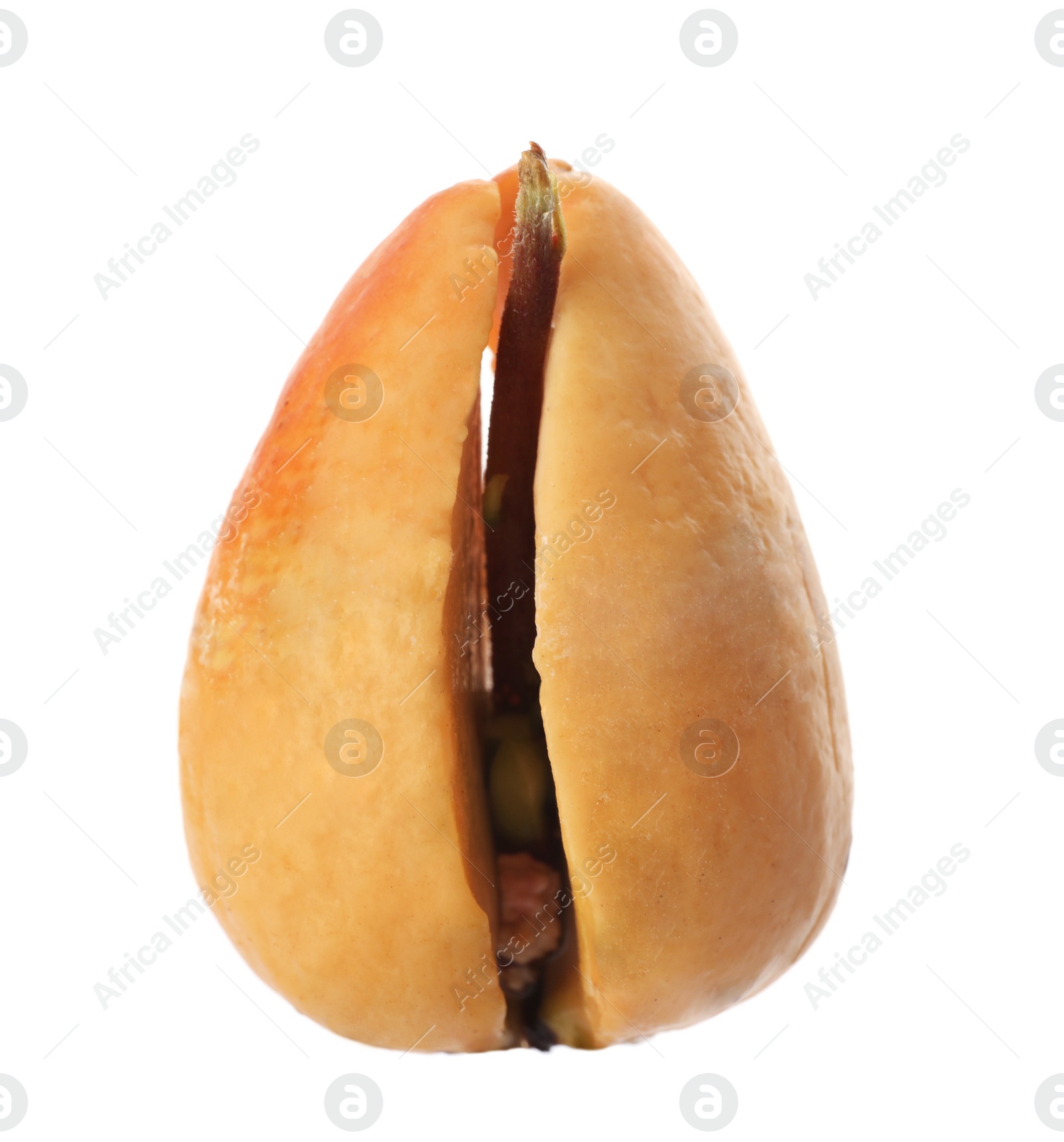 Photo of Avocado pit with sprout on white background