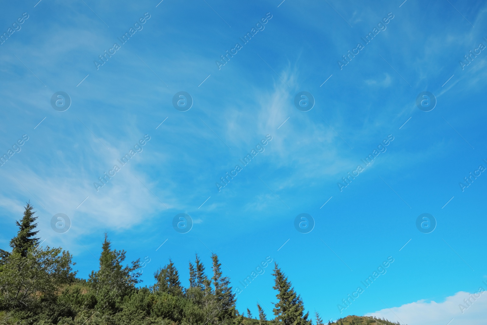 Photo of Picturesque view of sky with clouds over forest