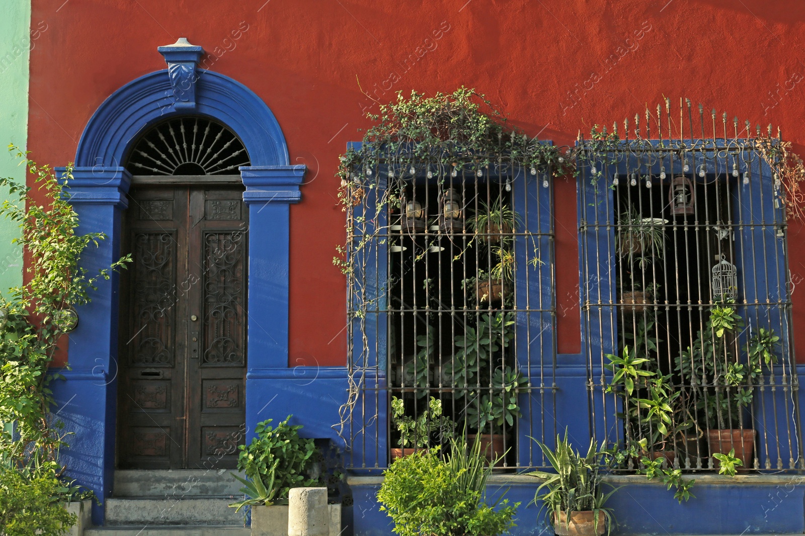 Photo of Building with door and windows covered in plants