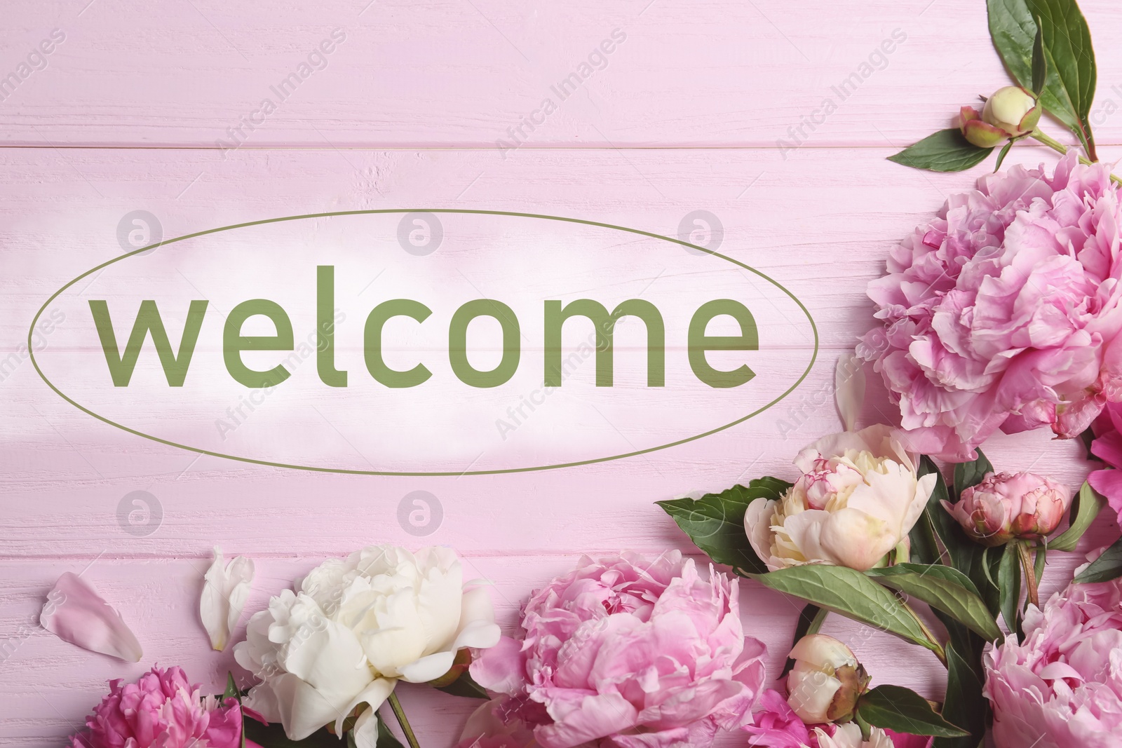 Image of Beautiful peonies and word WELCOME on pink wooden table, flat lay