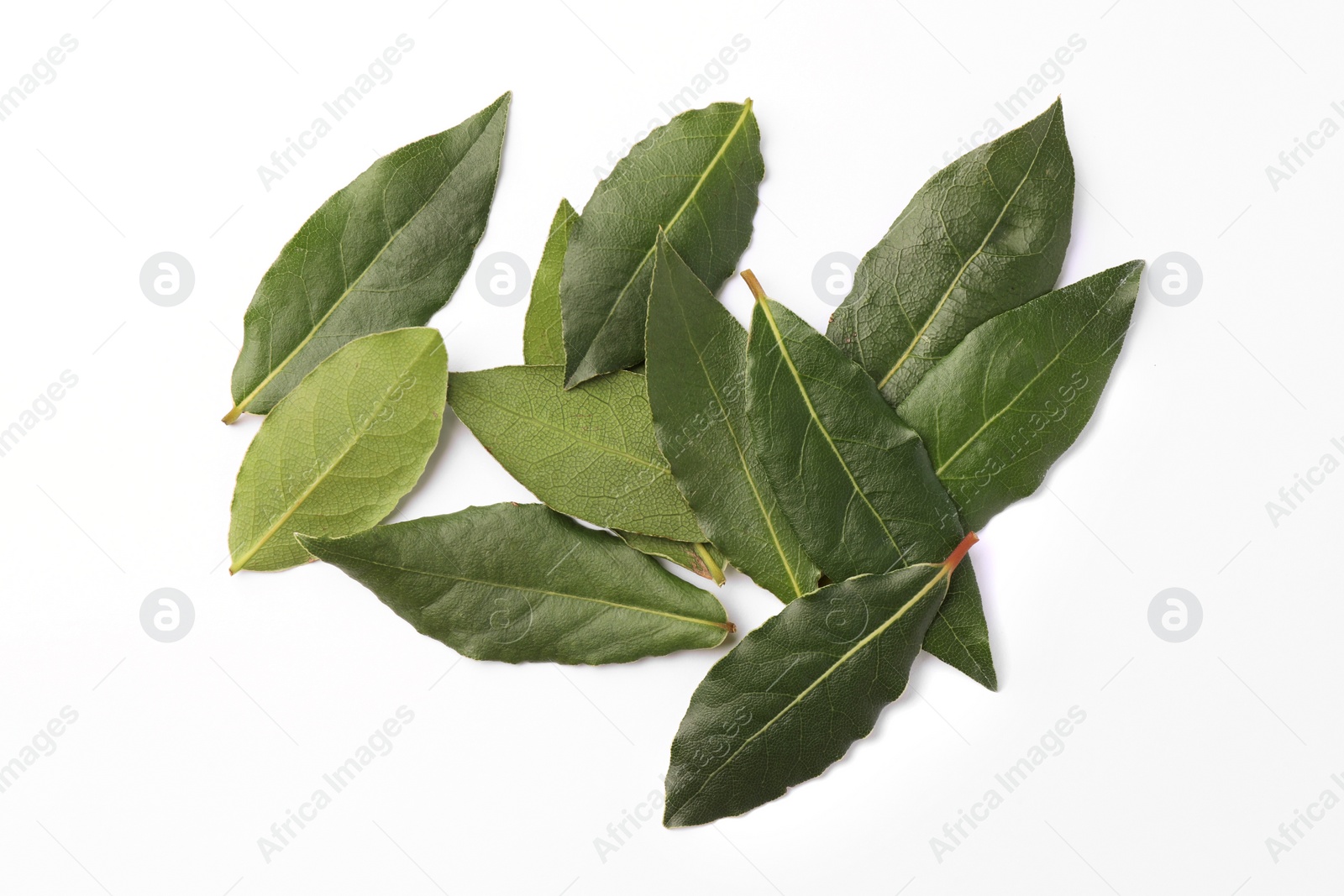 Photo of Aromatic fresh bay leaves on white background, top view