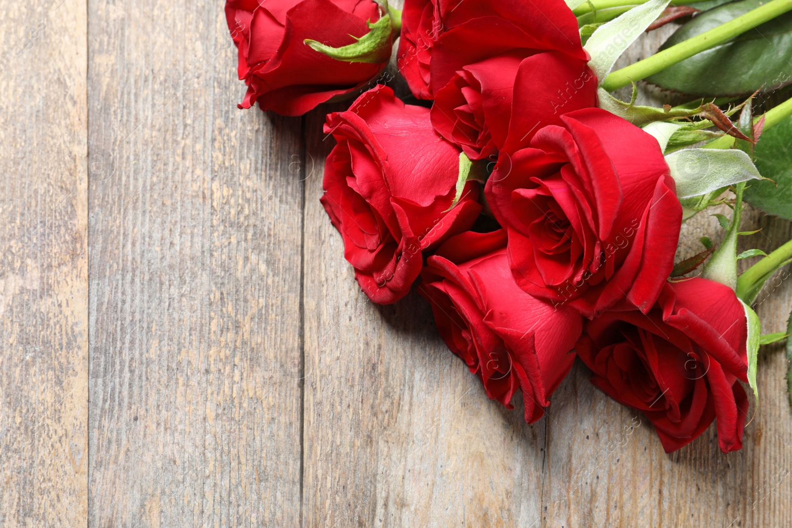 Photo of Beautiful red rose flowers on wooden background