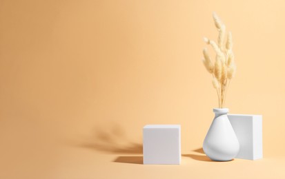 Photo of Scene with podium for product presentation. Figures of different geometric shapes and dry plant on pale orange background, space for text