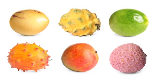 Set with different delicious exotic fruits on white background. Banner design