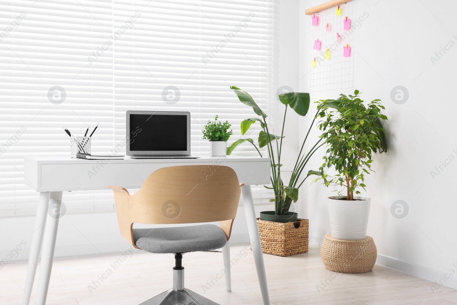 Photo of Stylish workplace with desk, chair and potted plants at home