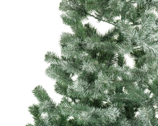 Beautiful Christmas tree on white background. Celebration time