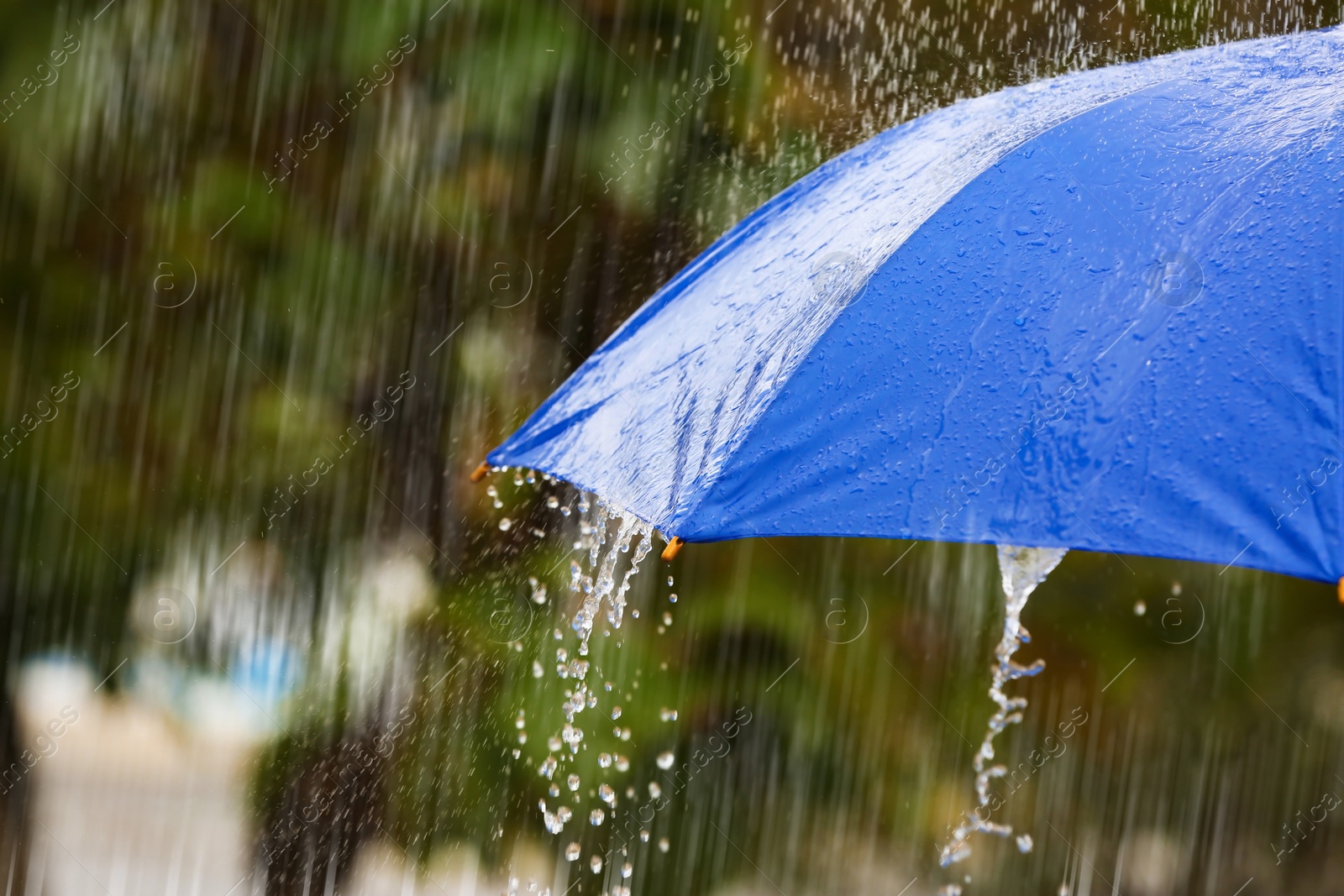 Photo of Bright umbrella under rain on street, closeup