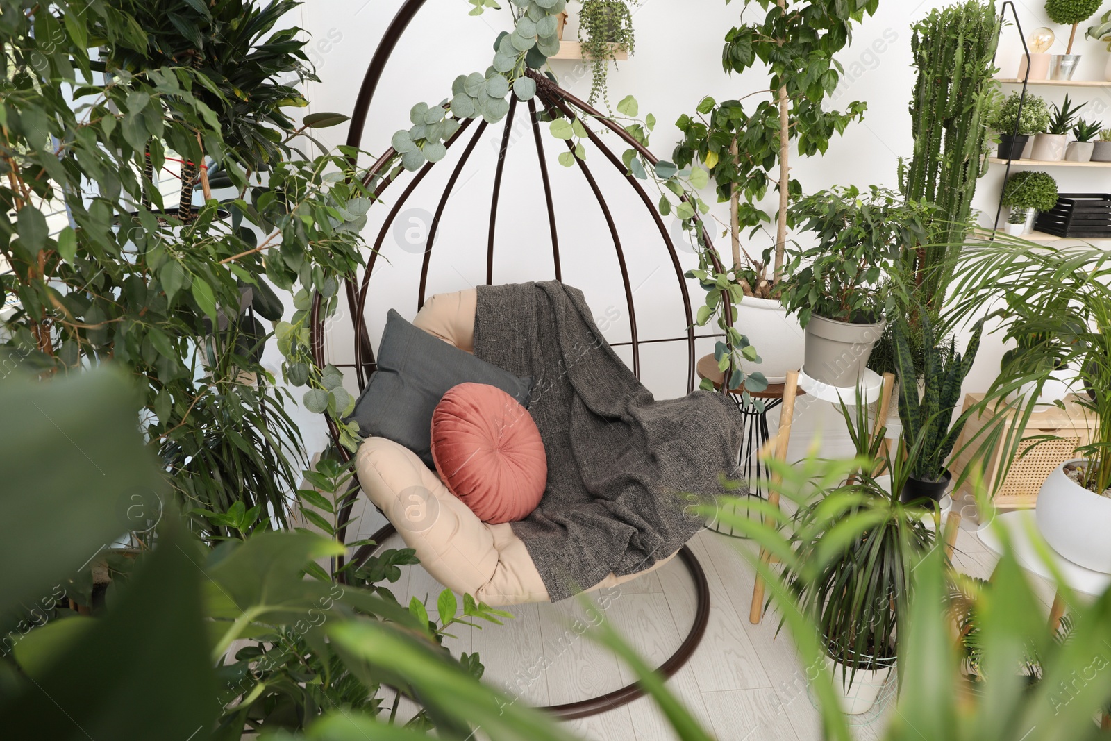 Photo of Comfortable egg chair and beautiful houseplants in room. Lounge zone interior