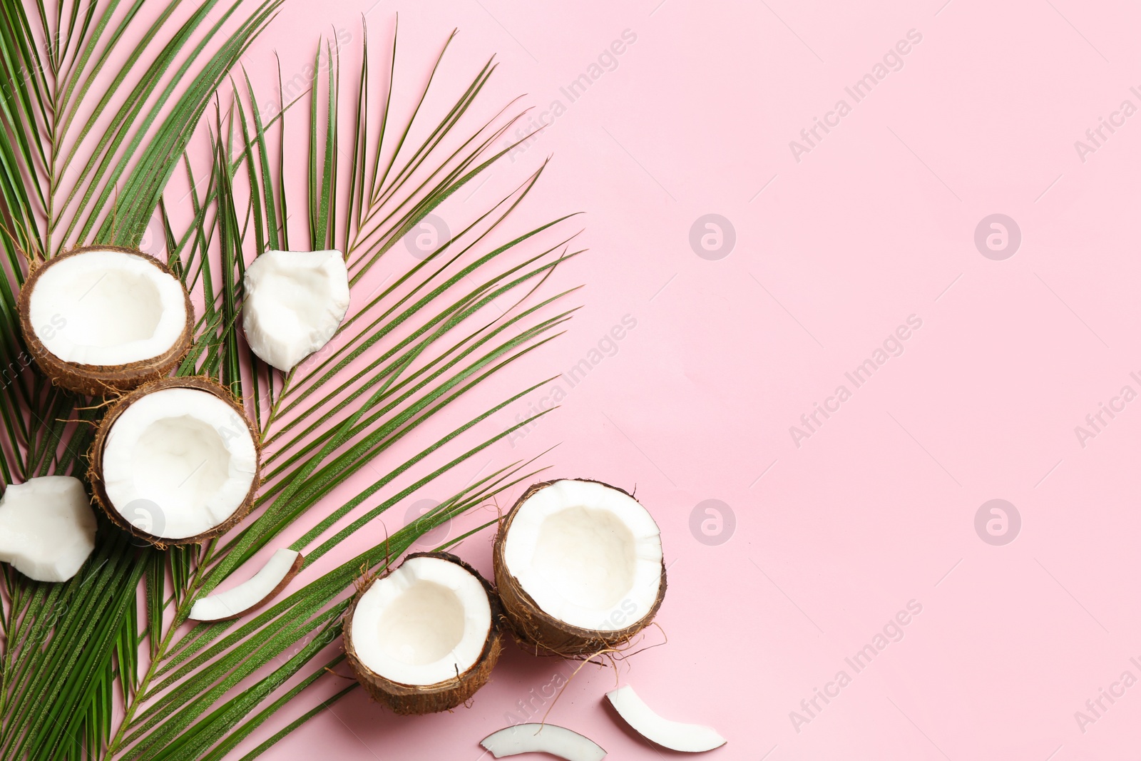 Photo of Flat lay composition with coconuts and space for text on color background