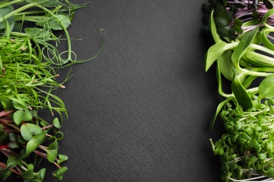 Photo of Different microgreens on black table, flat lay. Space for text