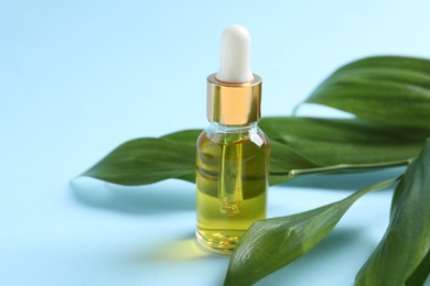 Bottle with cosmetic oil and green leaves on light blue background