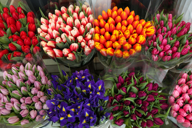 Photo of Fresh colorful tulips and iris flowers, top view