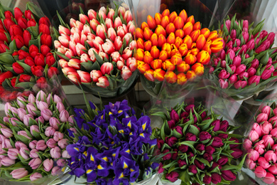 Fresh colorful tulips and iris flowers, top view