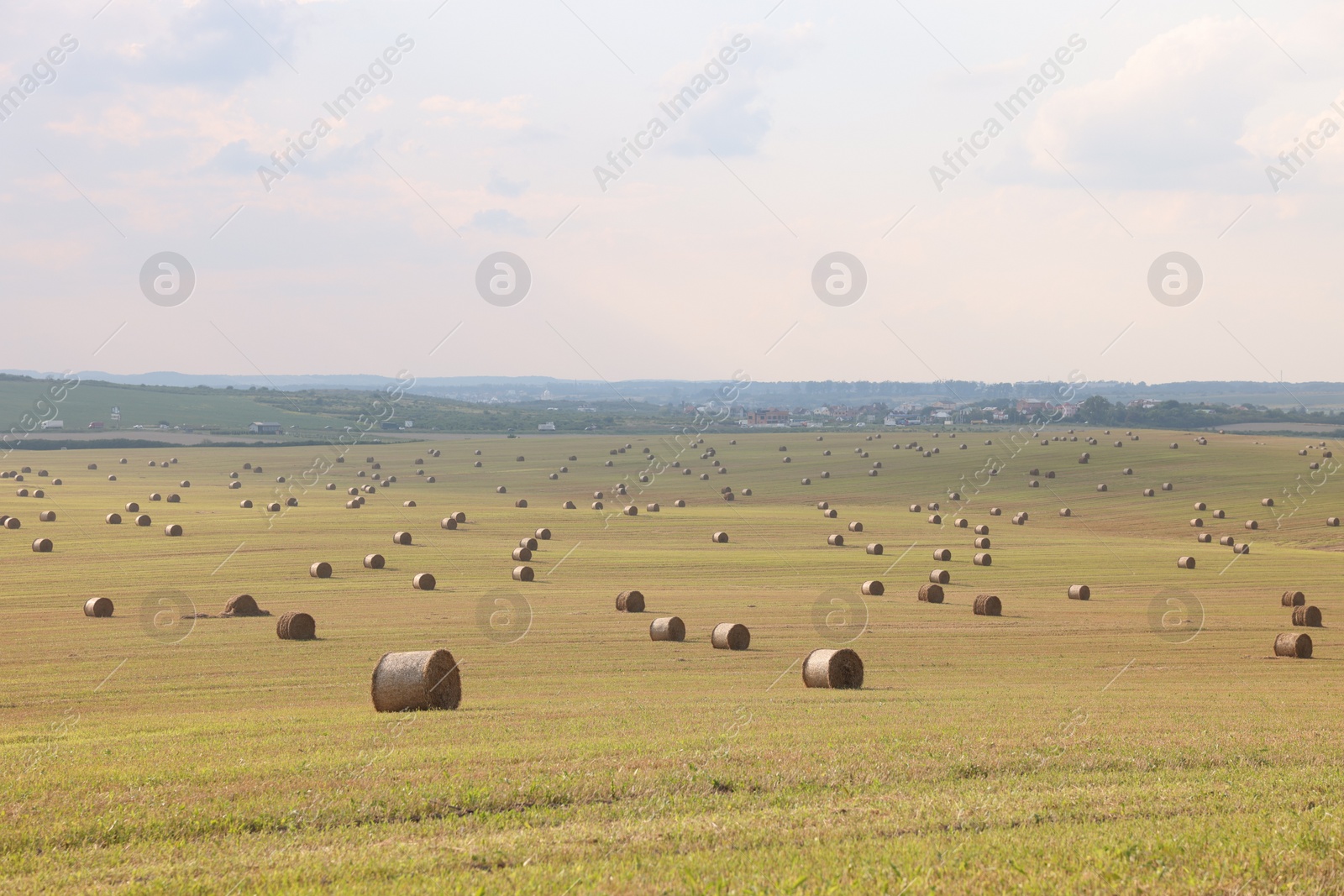 Photo of Beautiful view of agricultural field with hay bales