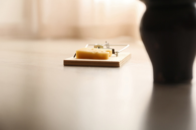 Photo of Mousetrap with piece of cheese indoors. Pest control