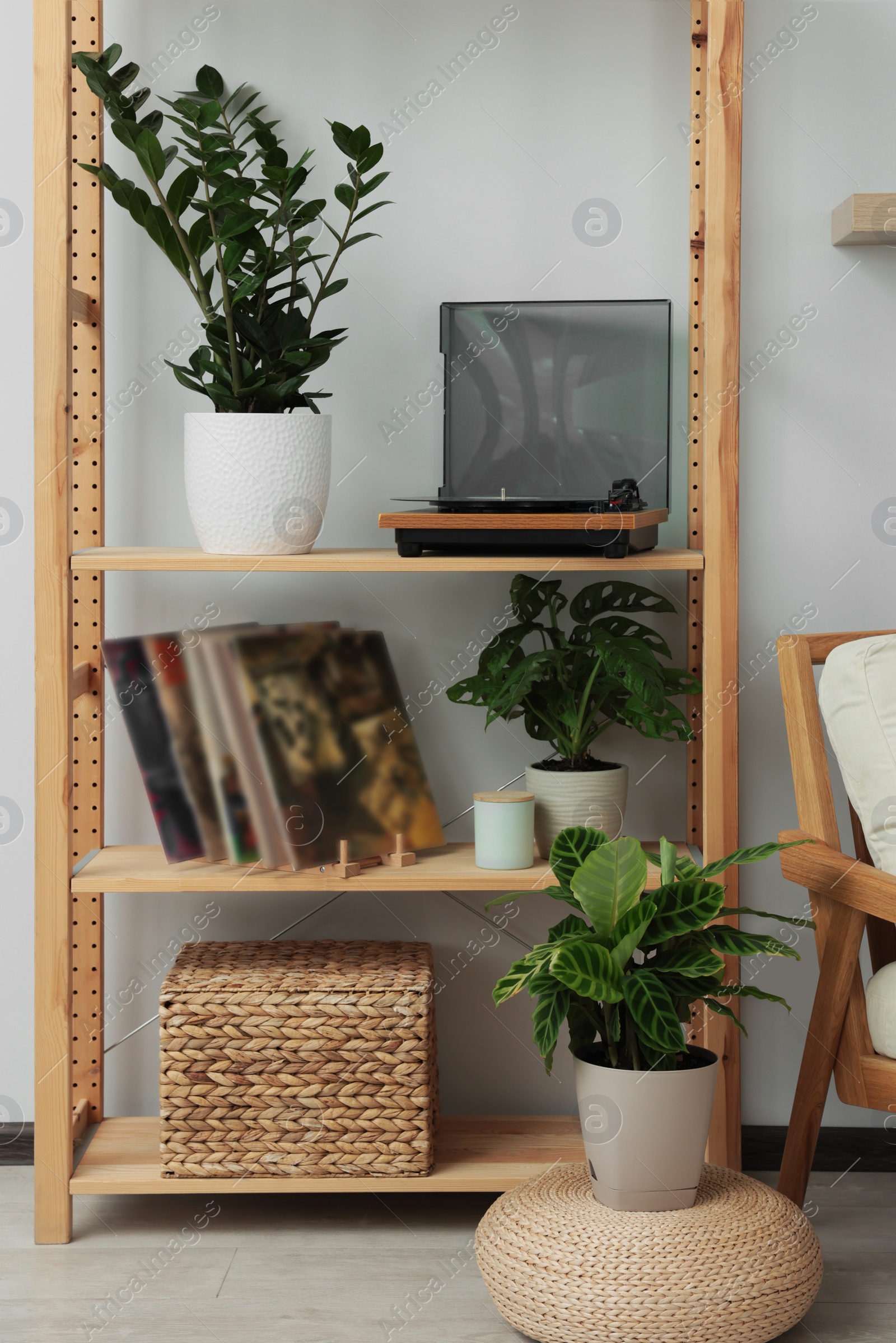 Photo of Wooden shelving unit with turntable, vinyl records and beautiful houseplants in room
