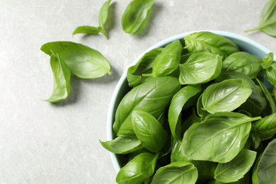 Fresh green basil on light grey table, top view