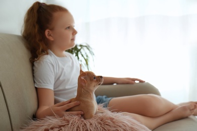 Photo of Little girl with her Chihuahua puppy indoors. Baby animal