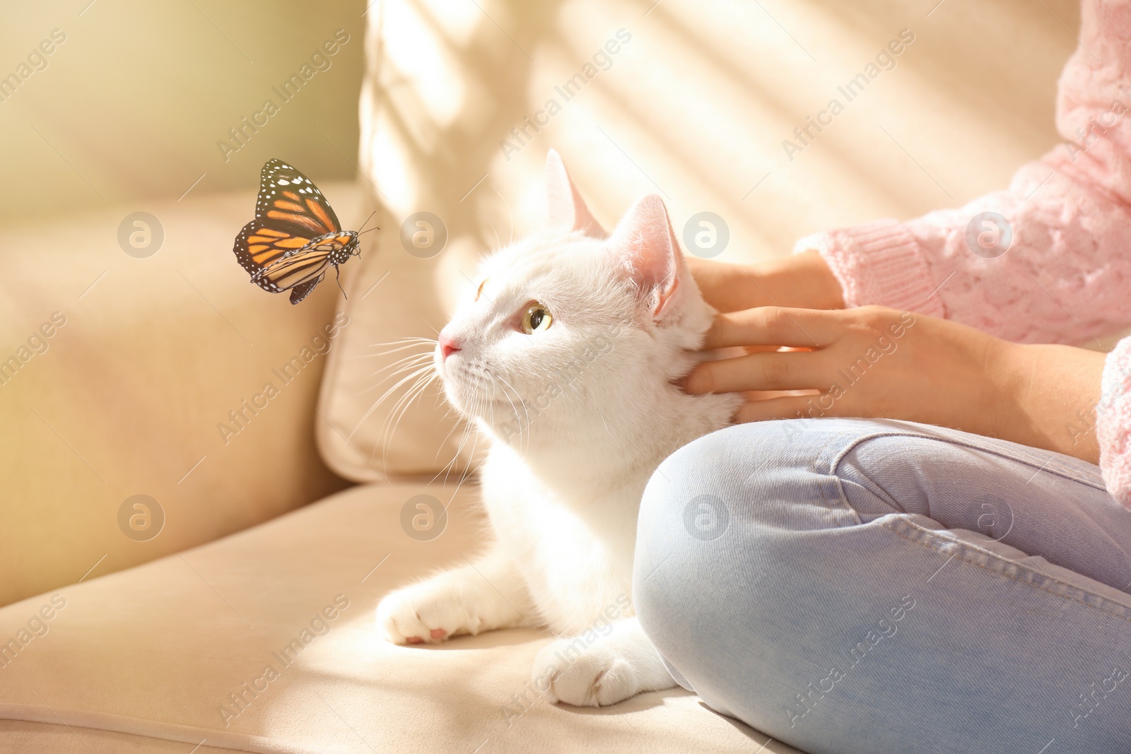 Image of Young woman with her beautiful white cat at home, closeup