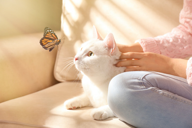 Image of Young woman with her beautiful white cat at home, closeup